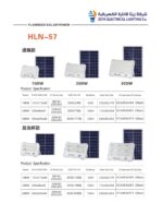 Flamingo Solar Power HLN-57 LED Floodlight