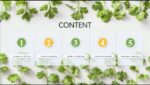 Fresh Vegetable Garden H5 Intelligent Vegetable Planter