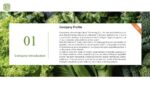 Fresh Vegetable Garden H5 Intelligent Vegetable Planter - Image 3