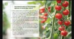 Fresh Vegetable Garden H5 Intelligent Vegetable Planter - Image 17
