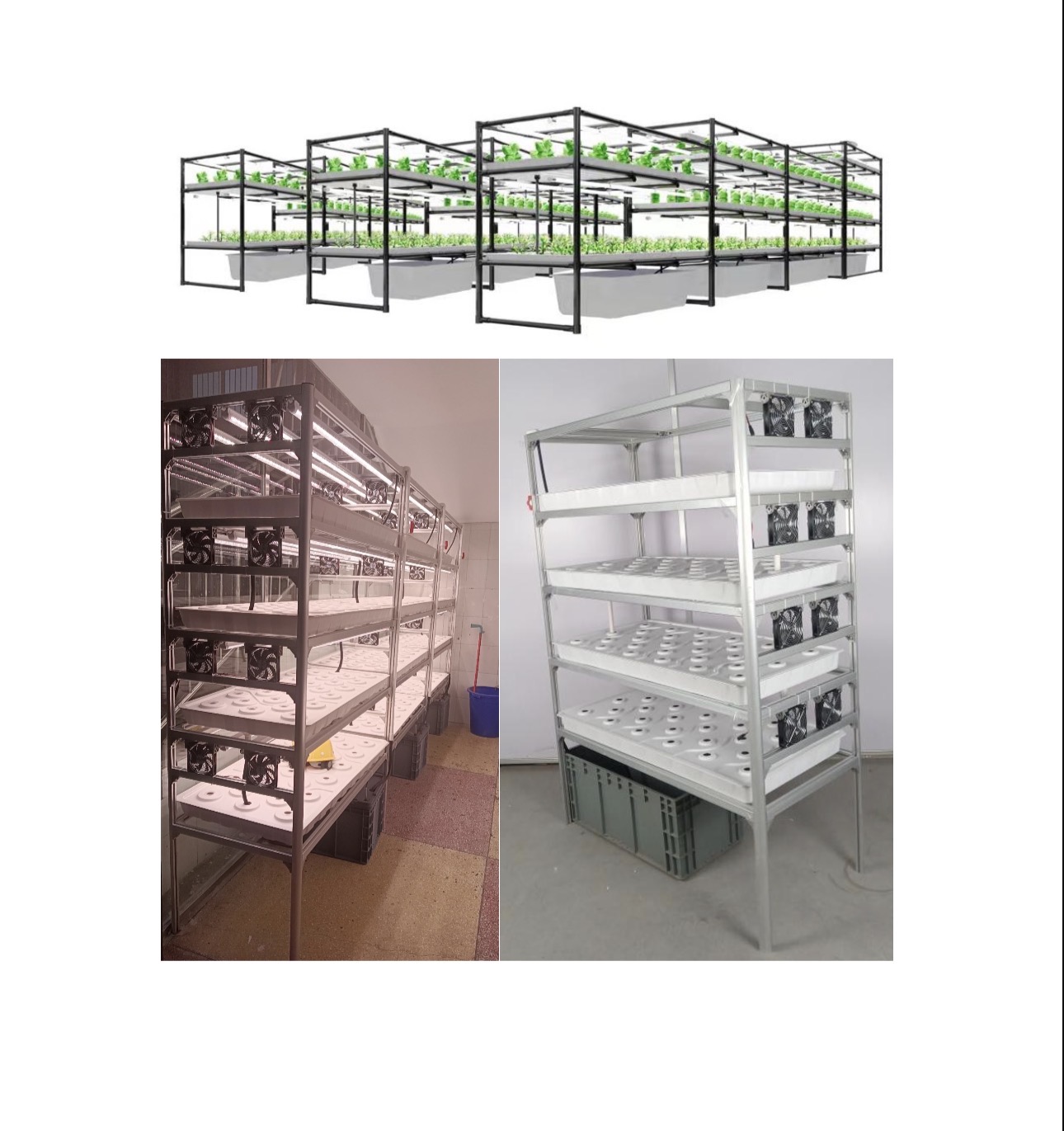 Screenshot Indoor Vegetable Growing Racks - 4-Tier Hydroponic System - Image 1